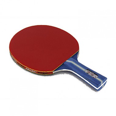 Table Tennis Tennis Rackets Durable Indoor / Outdoor Rubber Unisex